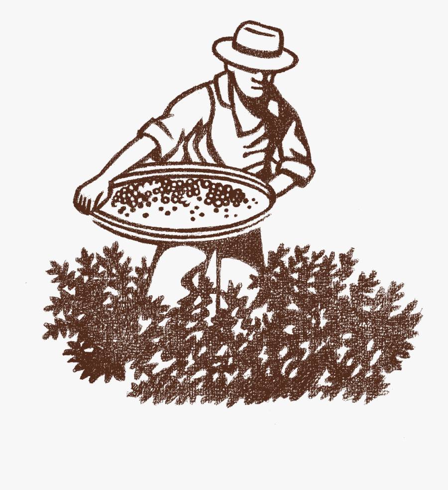 Illustration, Transparent Clipart