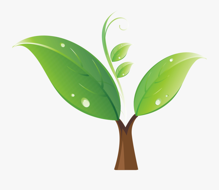 Tree Clip Art Green - Tree Sapling Clipart, Transparent Clipart