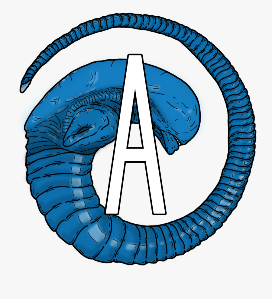 Circle, Transparent Clipart