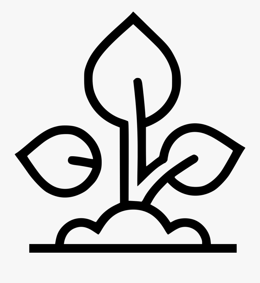 Plant Seedling Grow - Clip Art, Transparent Clipart