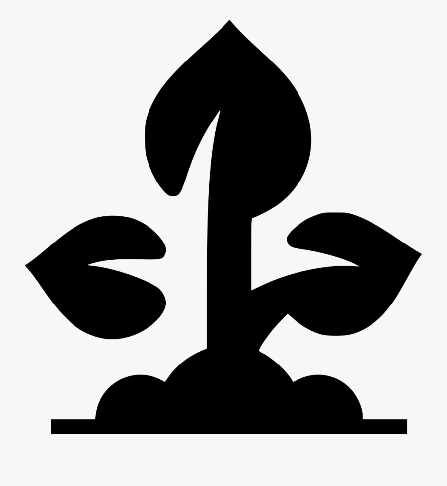 Plant Seedling Grow, Transparent Clipart