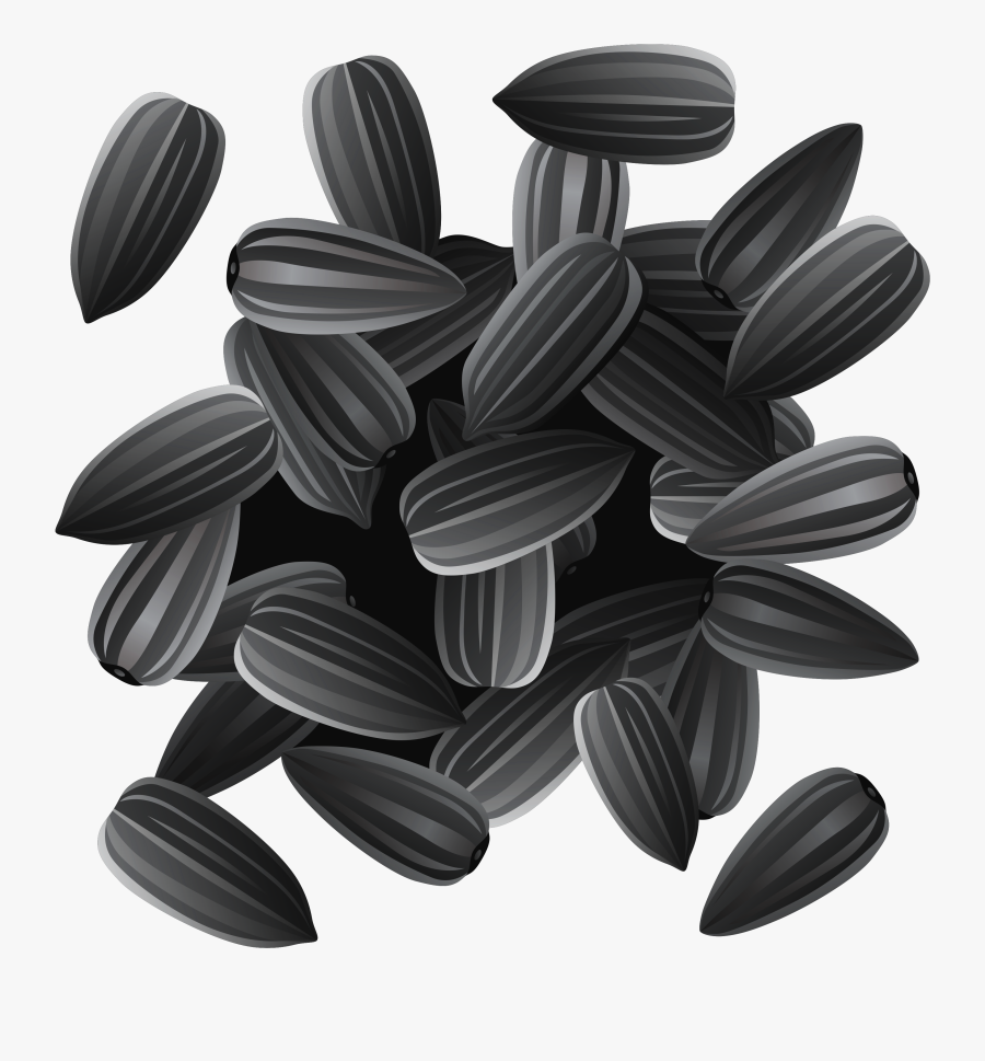 Sunflower Seeds Clipart, Transparent Clipart