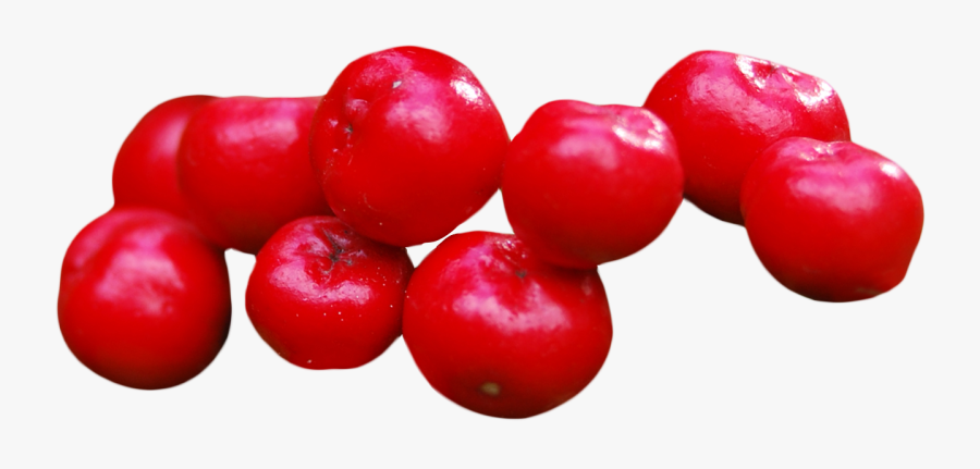 Cranberry, Transparent Clipart