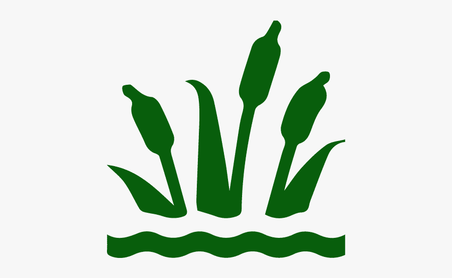 Wetlands Icon - Wetland Icon, Transparent Clipart