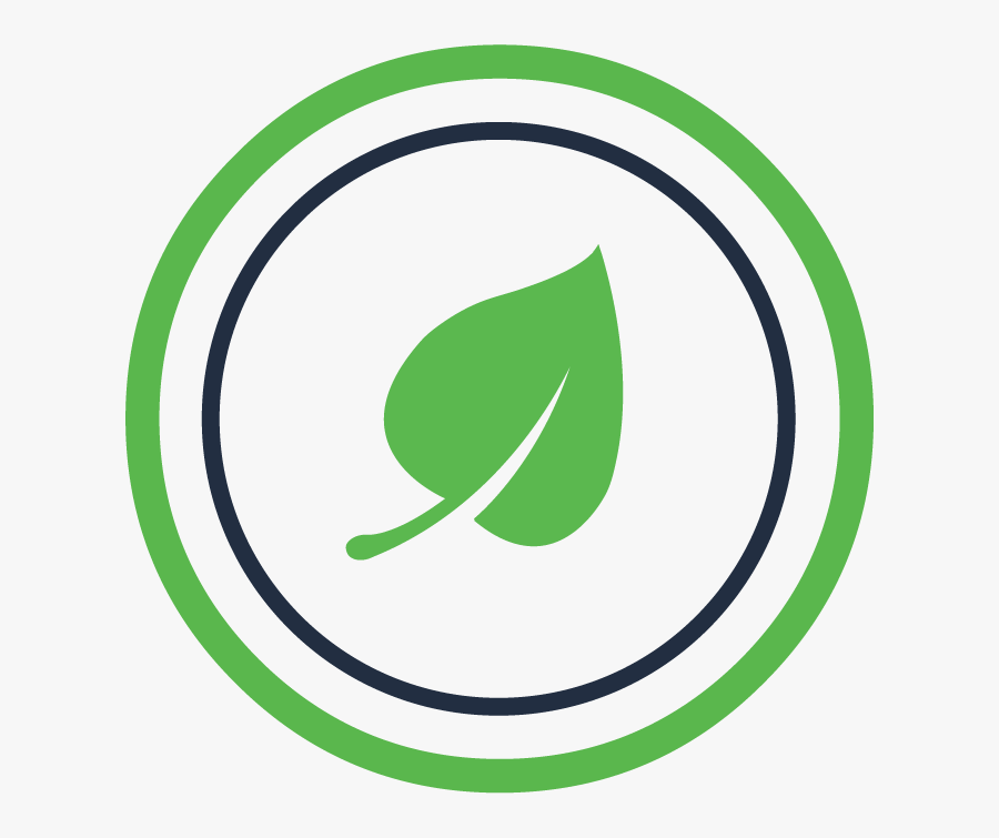 Circle, Transparent Clipart