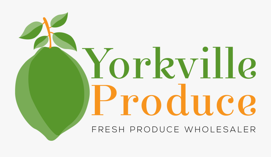 Graphic Design, Transparent Clipart