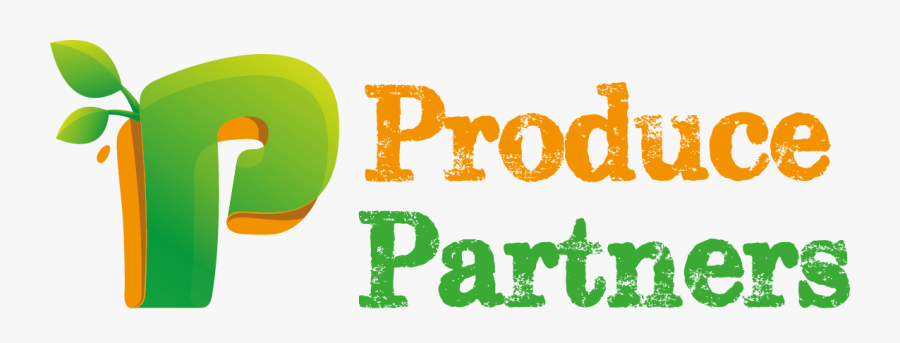 Graphic Design, Transparent Clipart