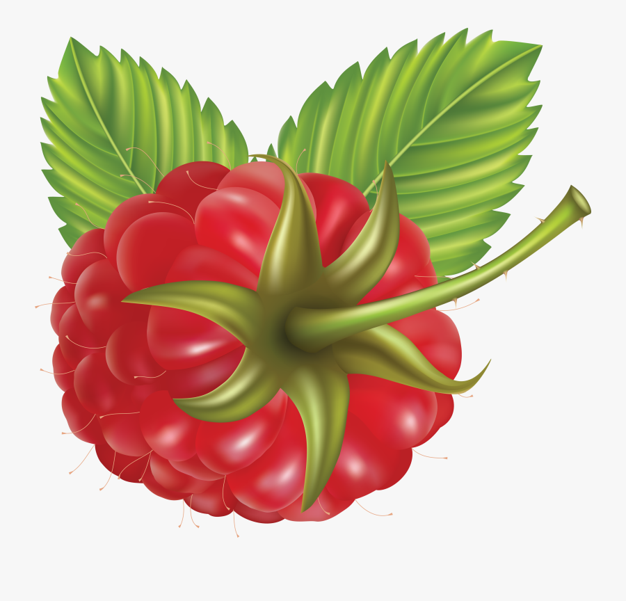 Raspberry Clip Art , Free Transparent Clipart ClipartKey