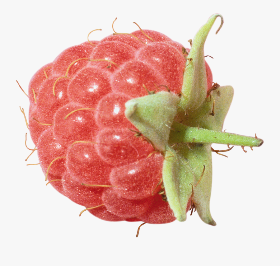 Raspberries Clipart Pink Fruit - Portable Network Graphics, Transparent Clipart