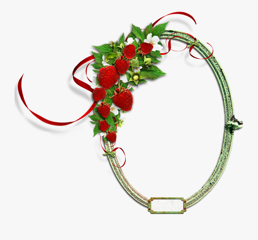 Floral Round Frame Png, Transparent Clipart