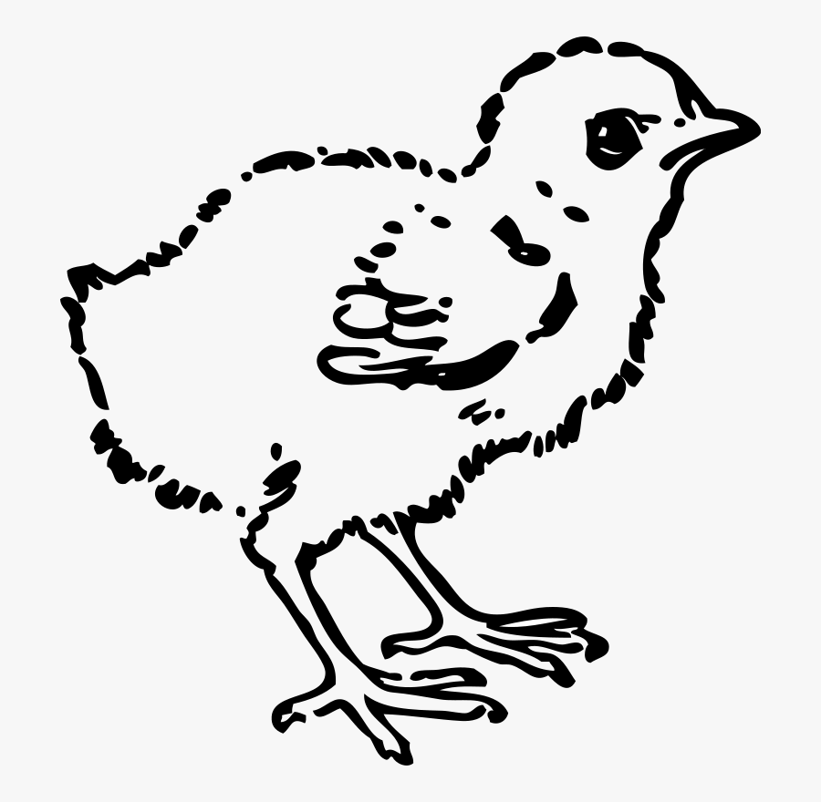 Black And White Chick Clip Art, Transparent Clipart