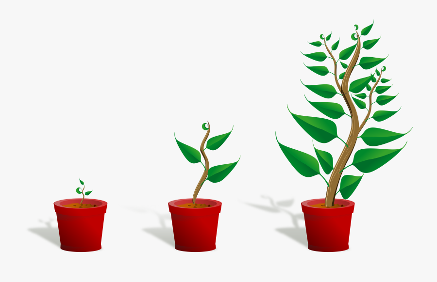 Endowment - Clipart - Getting To Know Plants, Transparent Clipart