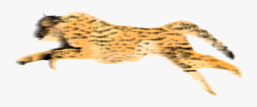 Cheetah Portable Network Graphics Clip Art Desktop - Transparent Background Cheetah Gif, Transparent Clipart