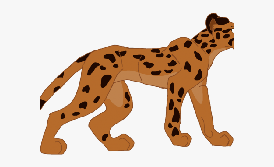 Cheetah, Transparent Clipart