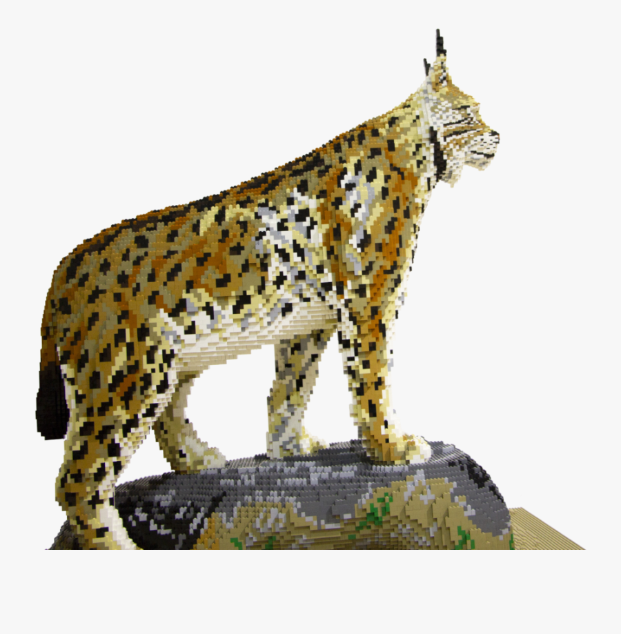 Transparent Caracal Png - Leopard, Transparent Clipart