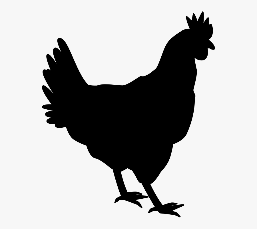 Royalty Free Stock Free Image On Pixabay - Hen Clipart Black, Transparent Clipart