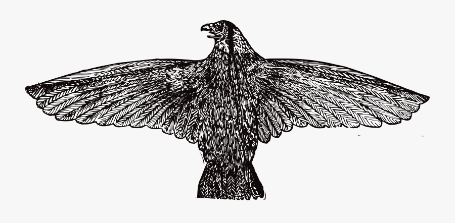 Eagle Clipart Chick - Vintage Eagle Png, Transparent Clipart