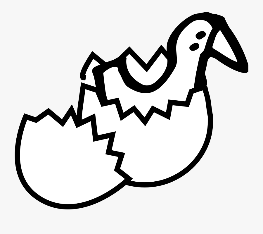 Chicken Eggs Chick From Egg Coloring Book Svg - Cracked Egg Clip Art, Transparent Clipart