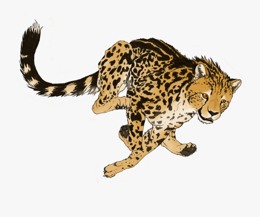 Cheetah Png Transparent Picture - Cheetah Gif No Background, Transparent Clipart