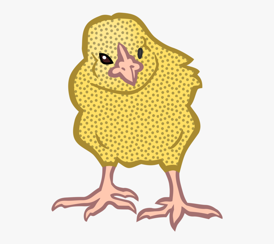 Water Bird,fauna,yellow - Clip Art, Transparent Clipart