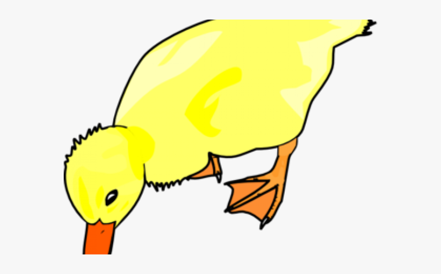 Duck, Transparent Clipart