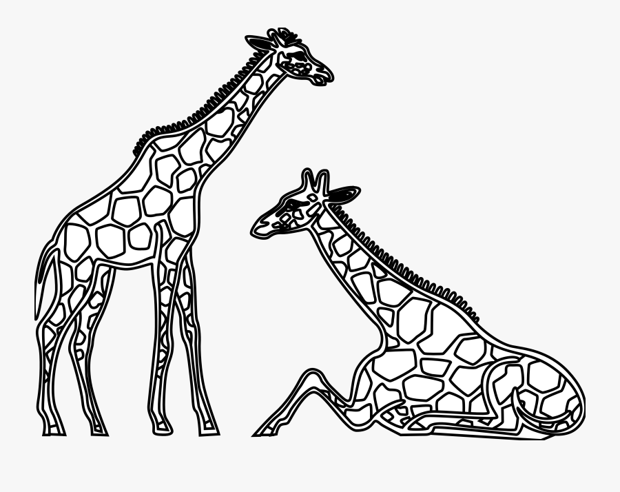 Baby Cheetah Clipart Black And White - Giraffes Clipart Black And White, Transparent Clipart