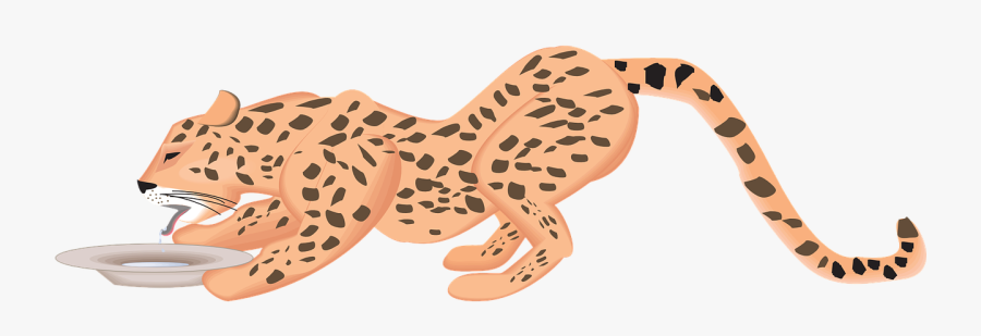 Cat, Water, Dish, Drinking, Cheetah, Animal, Spots - Cheetah Hunting At Night Clipart, Transparent Clipart