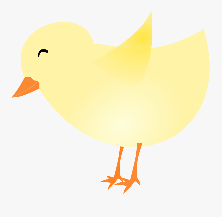 Baby Chicks Drawing With Transparent Background, Transparent Clipart