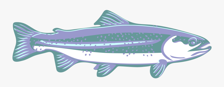 Curved Trout, Clip Art, Purple, Blue, White, Speckled, - Canoe, Transparent Clipart