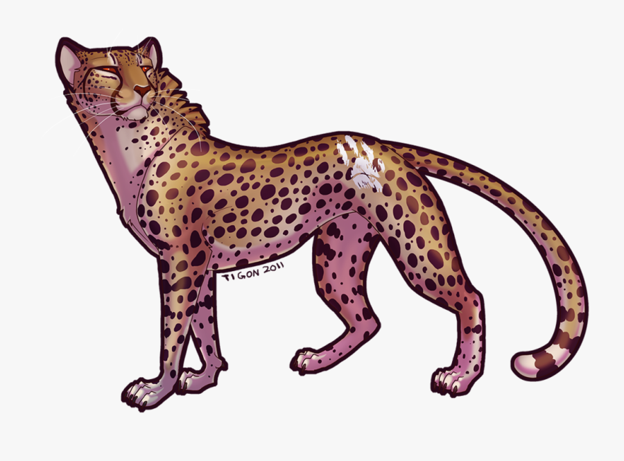 Transparent Cheetah Art, Transparent Clipart