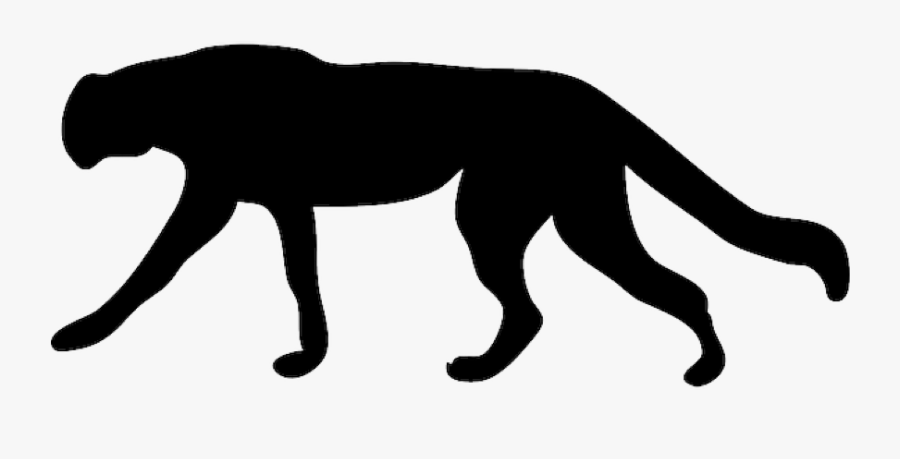 Puma Cat Eye Clipart - Dog, Transparent Clipart