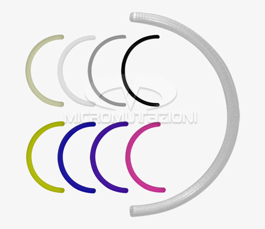 Hd Barbell Clipart Curved Barbell - Circle, Transparent Clipart