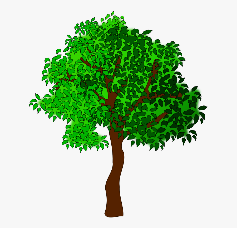 Transparent Seasons Clipart - Transparent Background Big Tree Clipart, Transparent Clipart