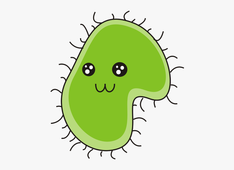Bacteria Download Png - Transparent Background Bacteria Clipart, Transparent Clipart