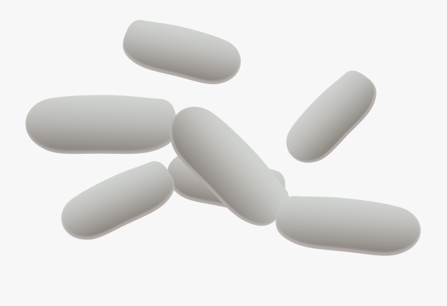 Bacteria - Bacterian Clipart Black And White, Transparent Clipart