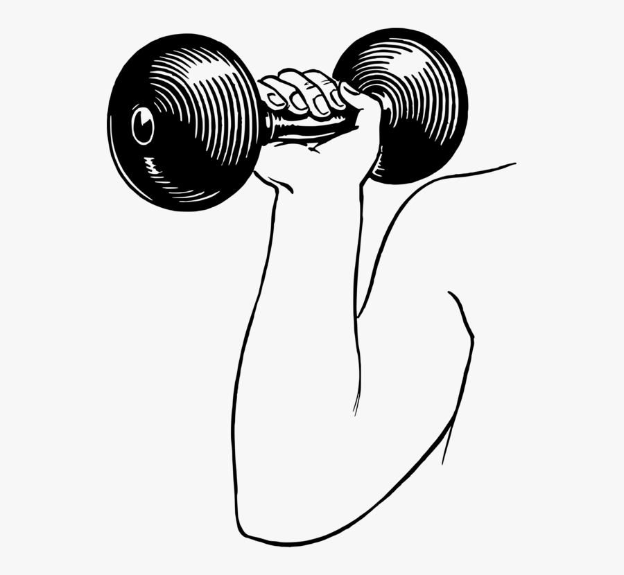Line Art,monochrome Photography,artwork - Hantle Rysunek, Transparent Clipart