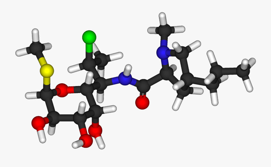 Succinylcholine - Clipart - Clindamycin Ball 3d Structure, Transparent Clipart