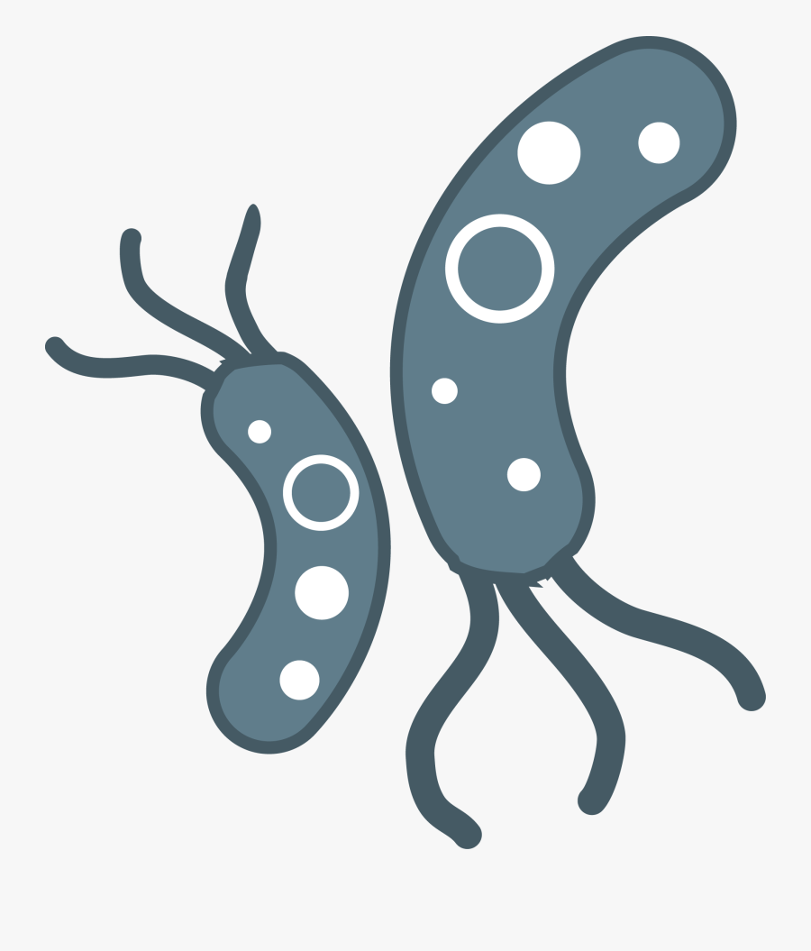 Bacteria Png, Transparent Clipart