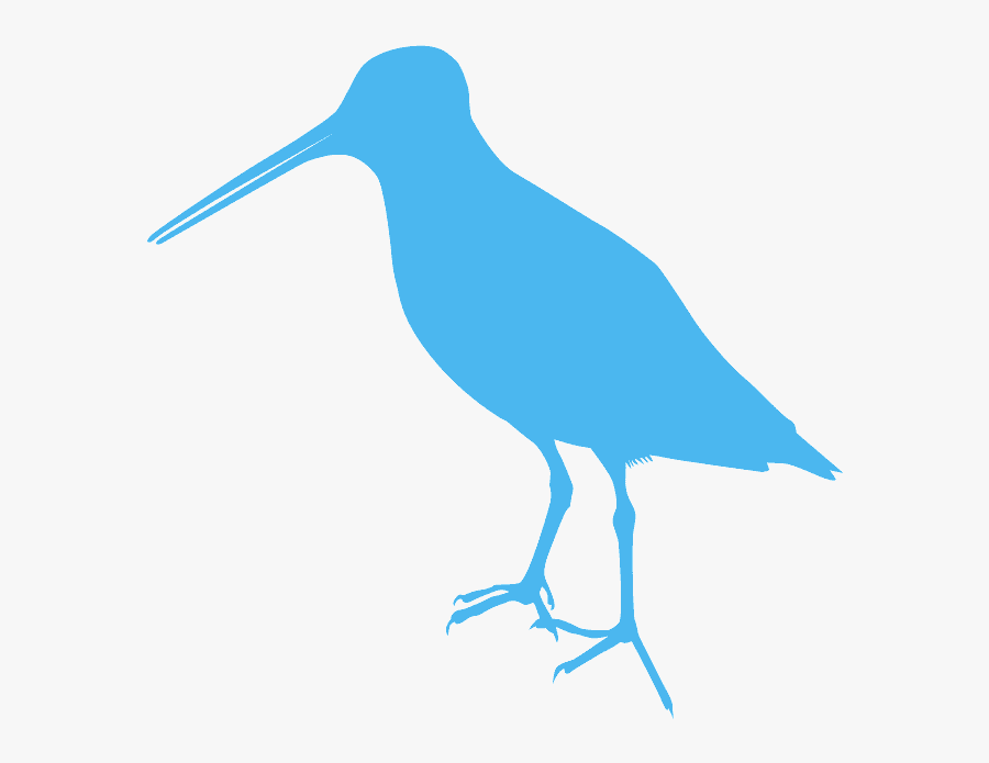 Coraciiformes, Transparent Clipart