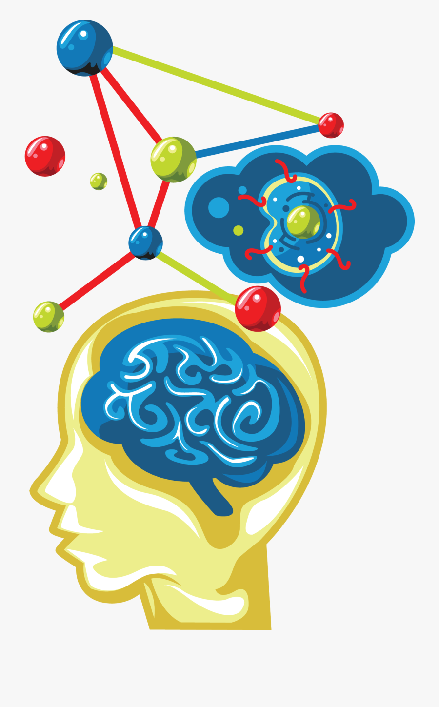 Our Upper Brain Or Central Nervous System Rapidly Developed - Circle, Transparent Clipart