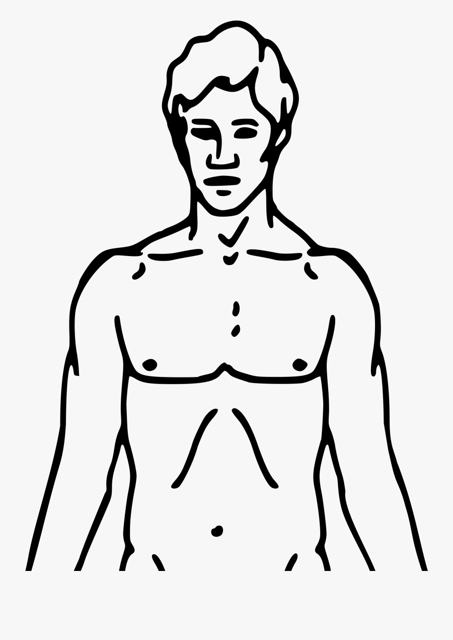 Clip Art Neck Graphic Download - Chemical Basis Of Love, Transparent Clipart