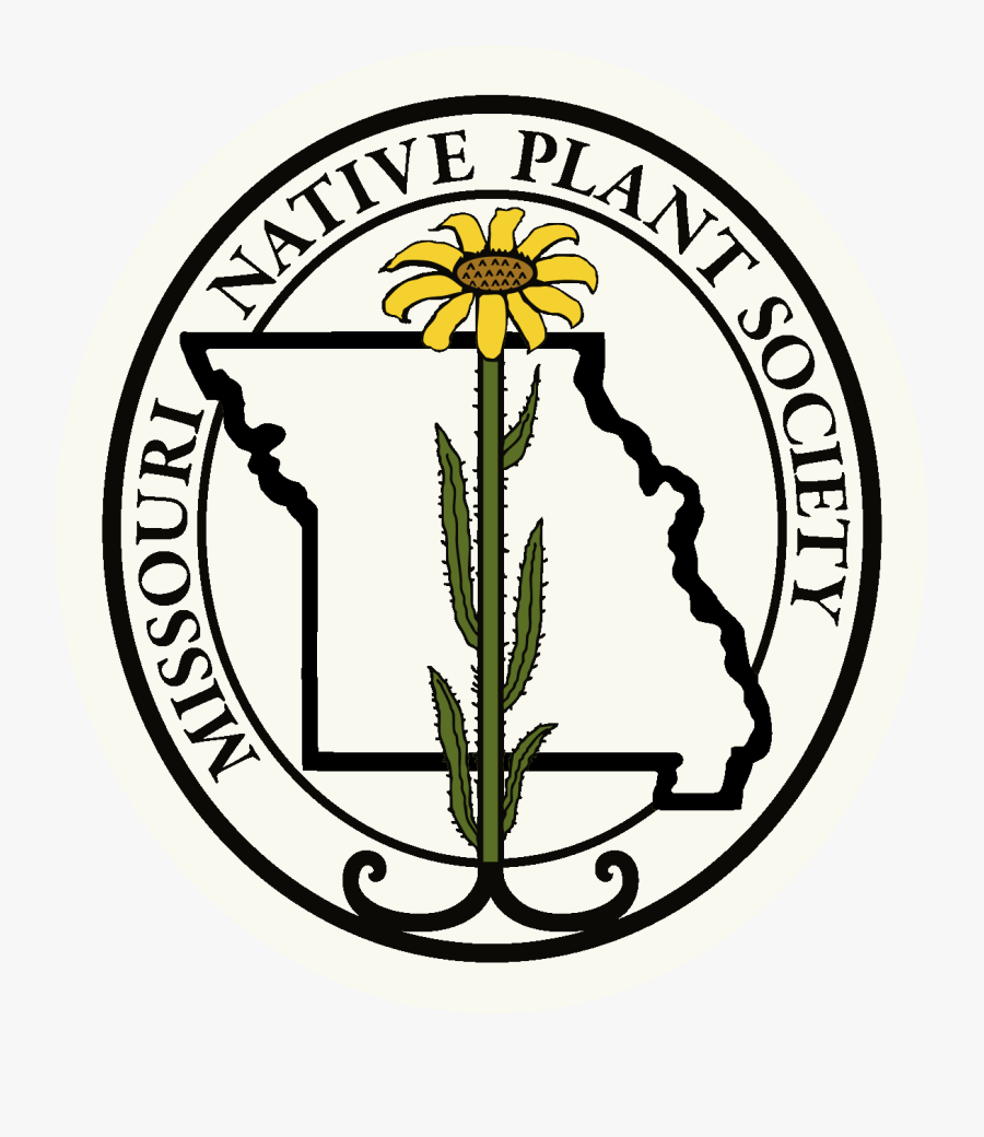 Transparent Wild Plants Png - Brooklyn Latin School Logo, Transparent Clipart