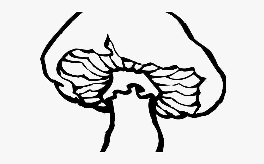 Transparent Mushroom Clipart - Mushroom Clip Art, Transparent Clipart