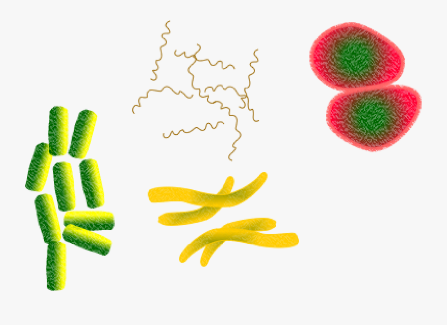 Bacteria Microbes Infection Png Image - Microbios Png, Transparent Clipart