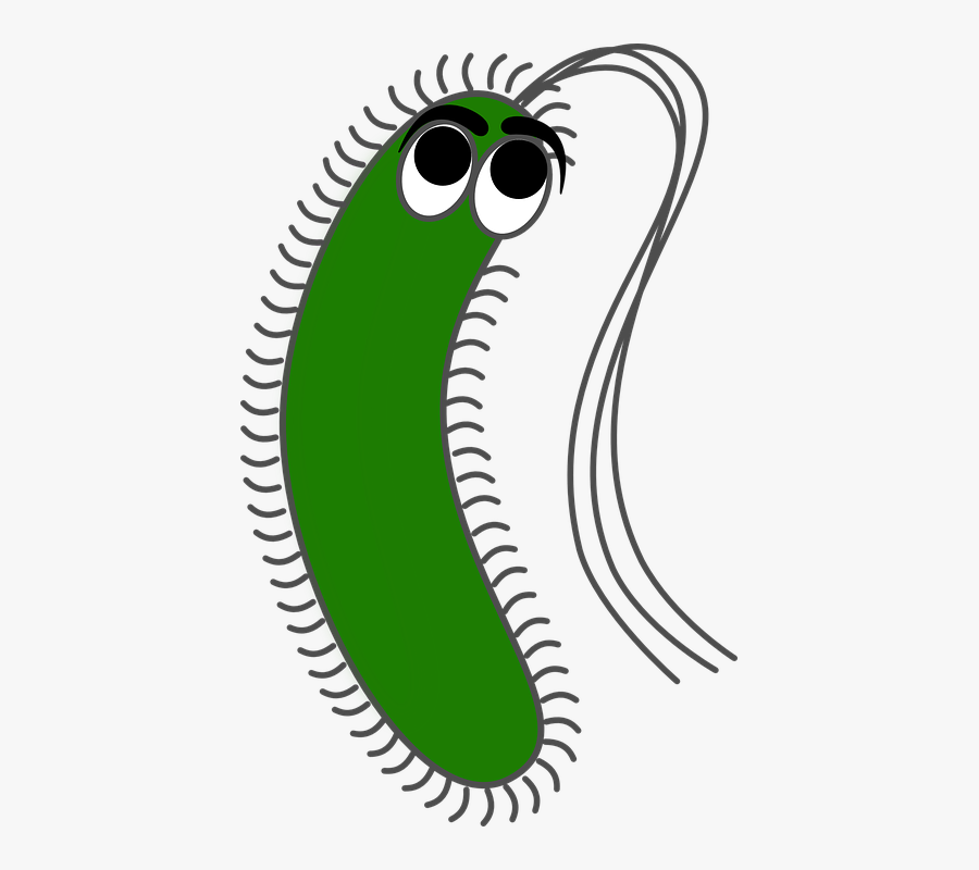 Transparent Disease Clipart - Bacteria Clipart, Transparent Clipart