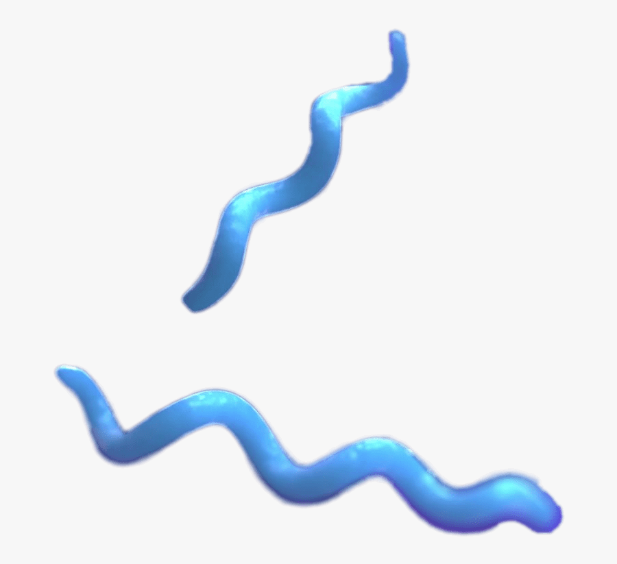 Spirilla Bacteria, Transparent Clipart
