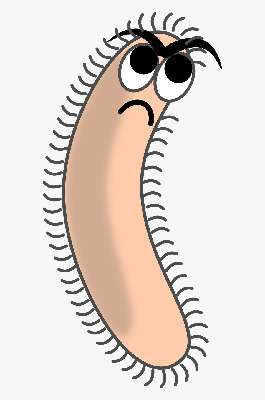 Bacteria Germ Pathogene Cell Png Image - Archaebacteria Clipart, Transparent Clipart