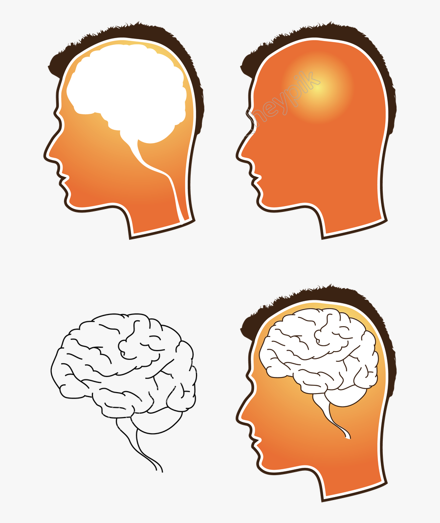 Human Brain Png - Free Vector Brain, Transparent Clipart