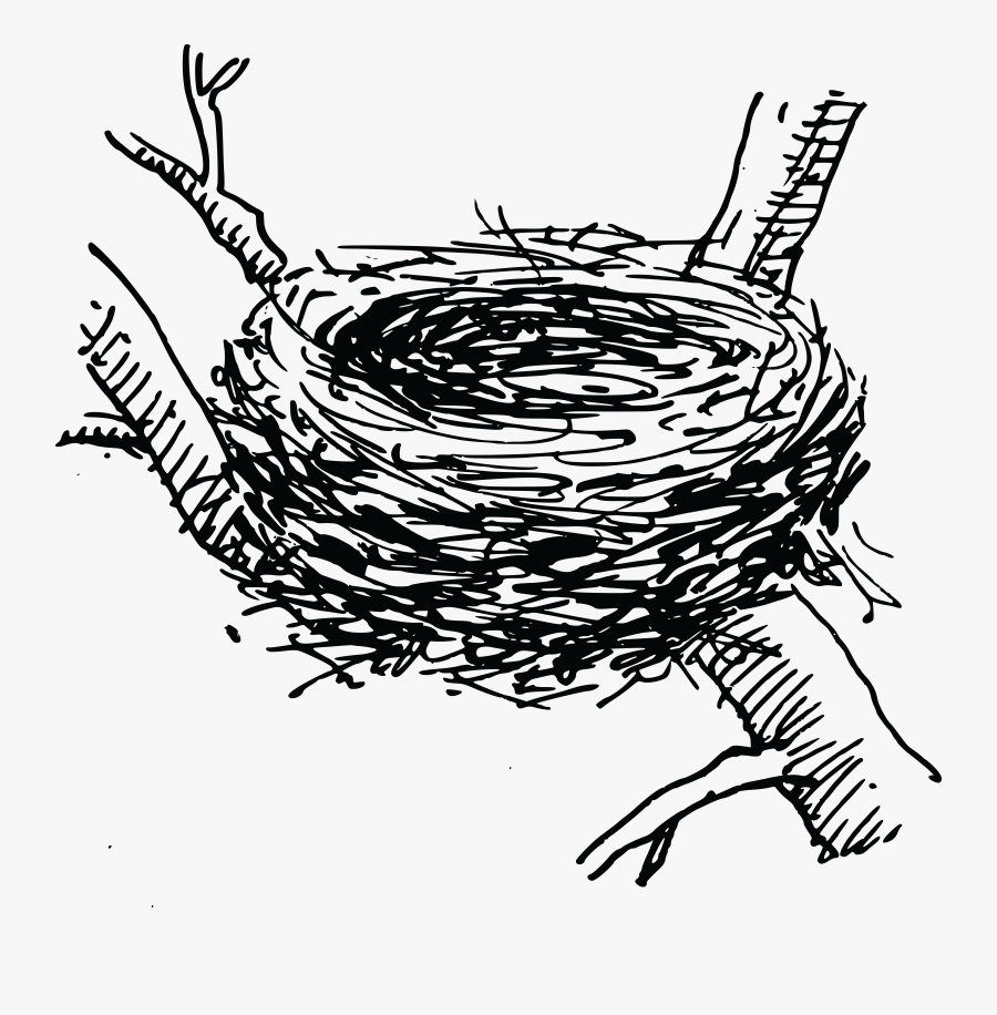 Thumb Image - Clip Art Bird Nest, Transparent Clipart