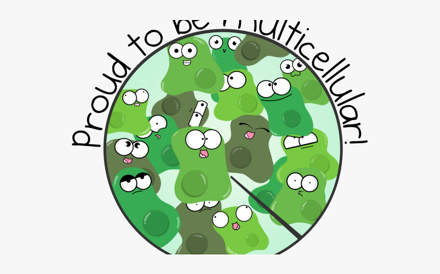 Multicellular Clipart, Transparent Clipart
